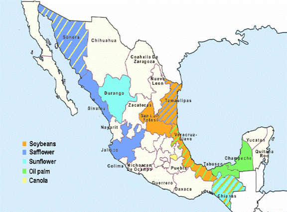 A map showing proposed fuel ethanol refineries and sugarcane producing areas in Mexico. Safflower production is big on the west side, sunflowers are primarily in the center, soybeans are big on the east side, and oil palm is on the southern tip. If you need more information regarding the data in this map, please contact Anelia Milbrandt at anelia_milbrandt@nrel.gov.
